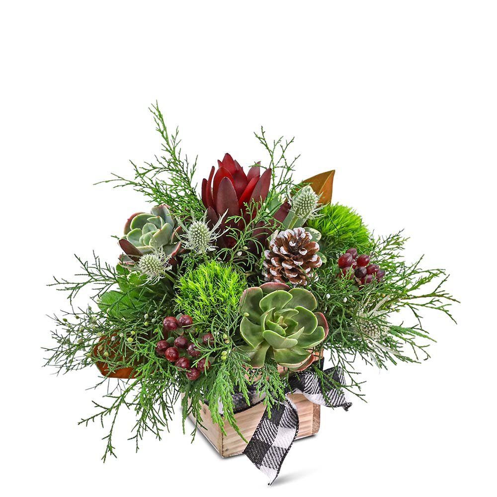 Seasonal Serenity - Anaheim Hills Florist