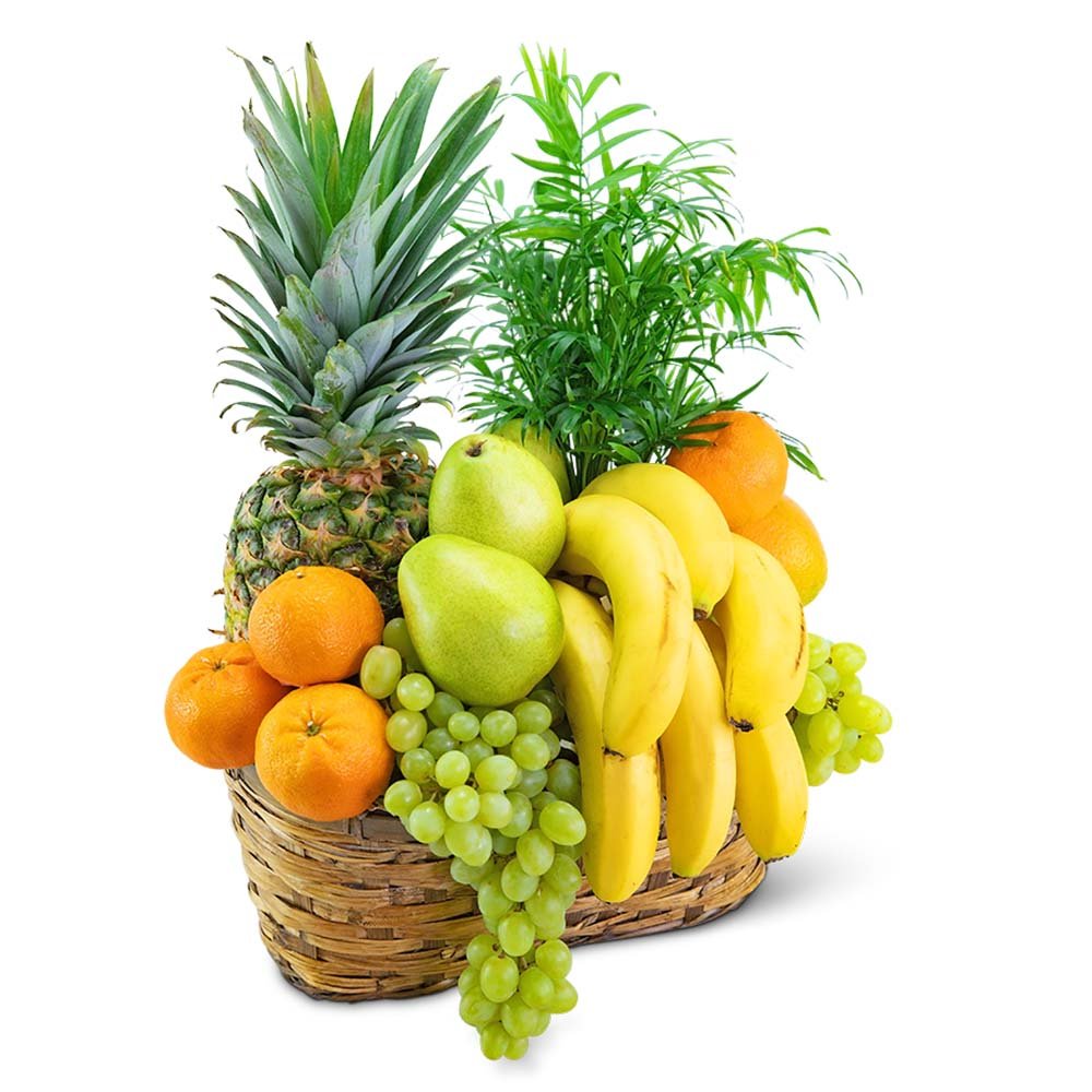 Green Goodness Fruit & Plant Basket - Anaheim Hills Florist