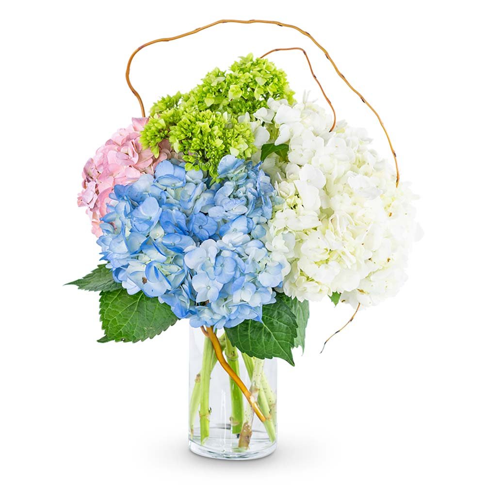 Sweet Hydrangea - Anaheim Hills Florist
