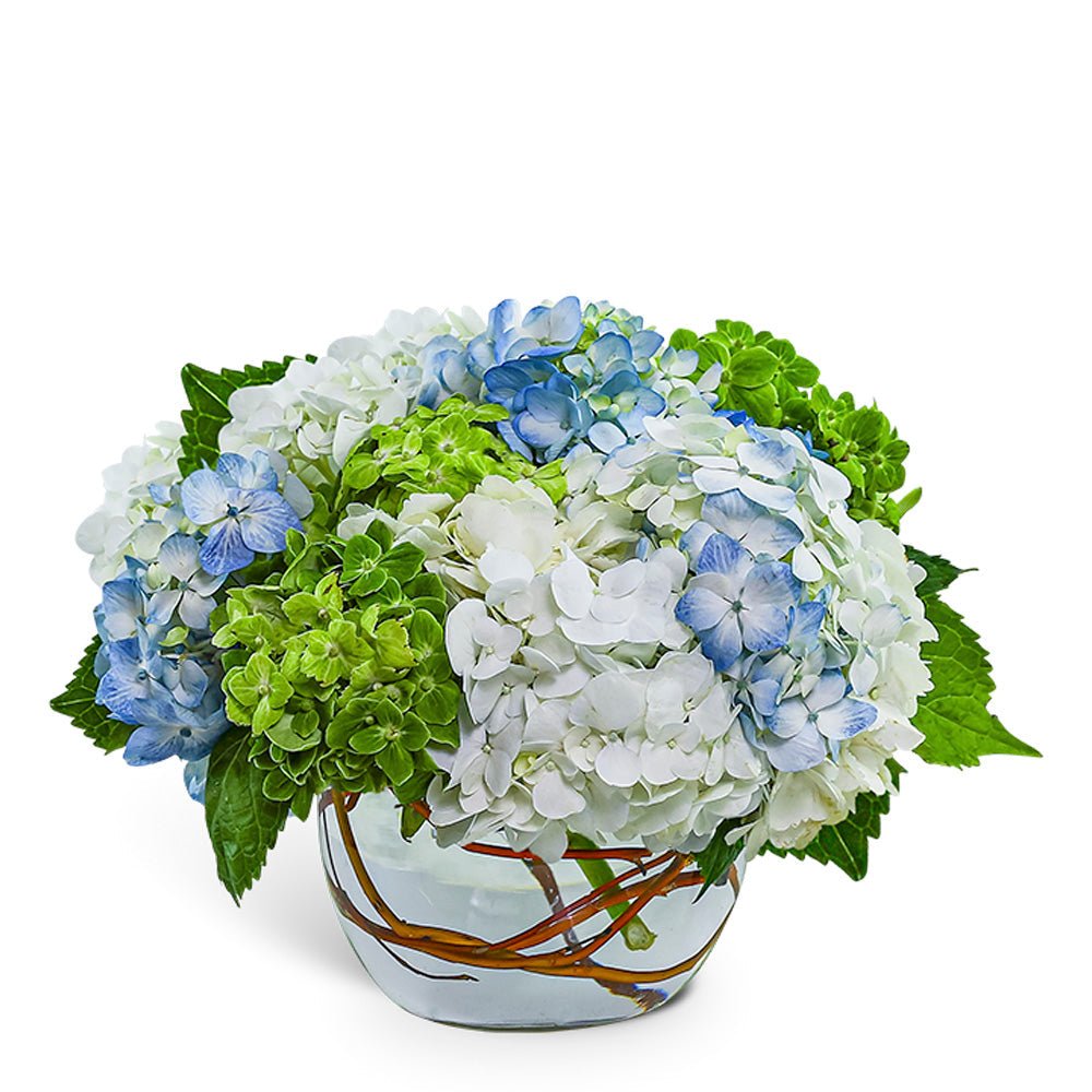 DMC：Revival Hydrangea(ハイドレンジア) 2BA 17g Dreamy Hydrangea