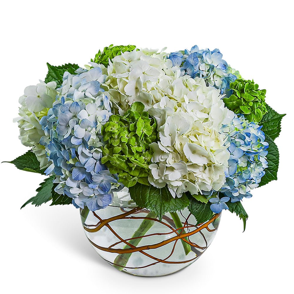 Hydrangea Heaven - Anaheim Hills Florist