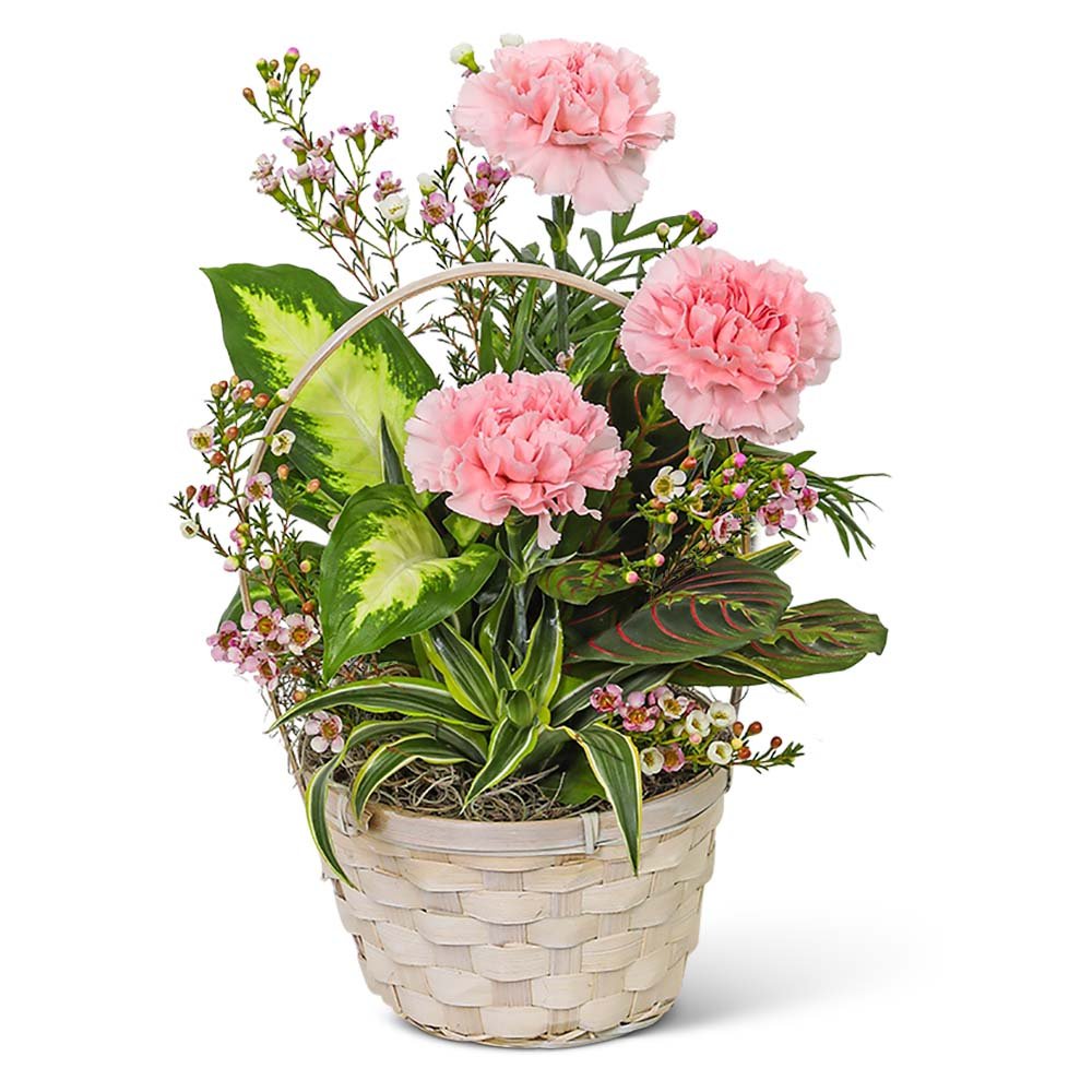 Dish Garden with Pink Florals - Anaheim Hills Florist