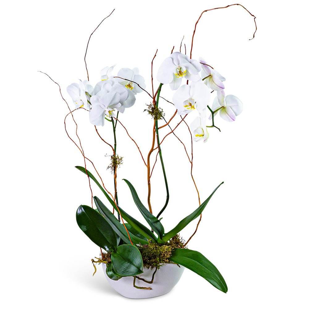 Luxe Double Orchid - Anaheim Hills Florist