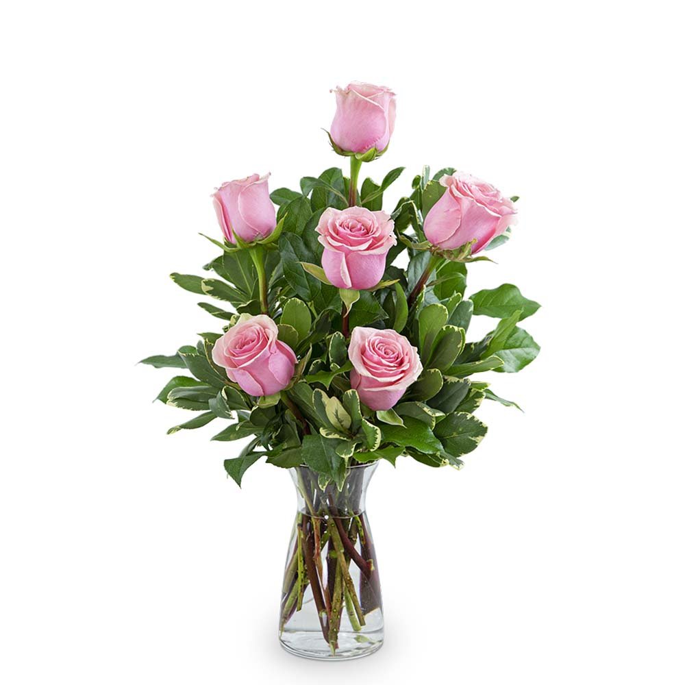 Pink Roses (6) - Anaheim Hills Florist