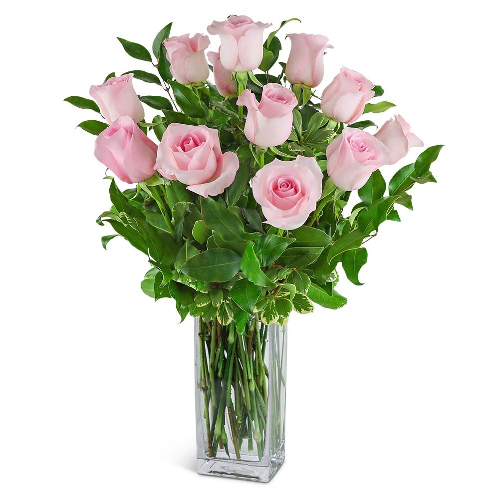 One Dozen Light Pink Roses - Anaheim Hills Florist