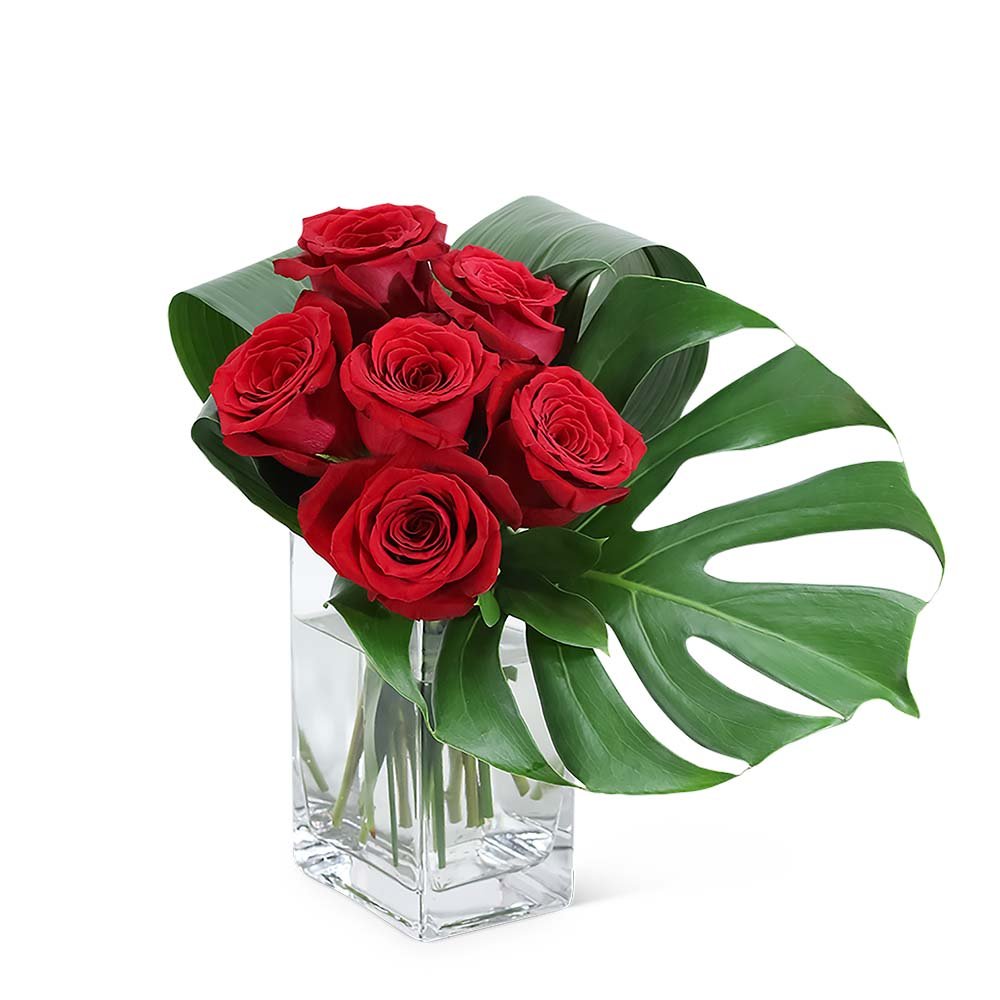 Modern Roses (6) - Anaheim Hills Florist