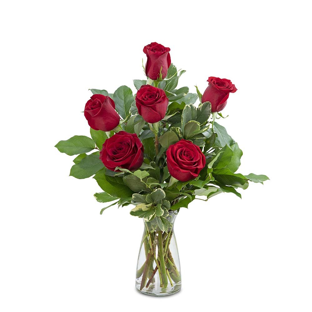 Red Roses (6) - Anaheim Hills Florist