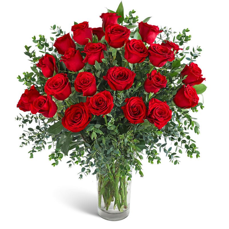 Two Dozen Red Hot Roses - Anaheim Hills Florist