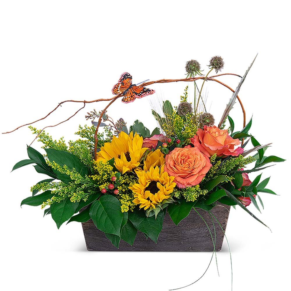 A Walk at Sunset - Anaheim Hills Florist