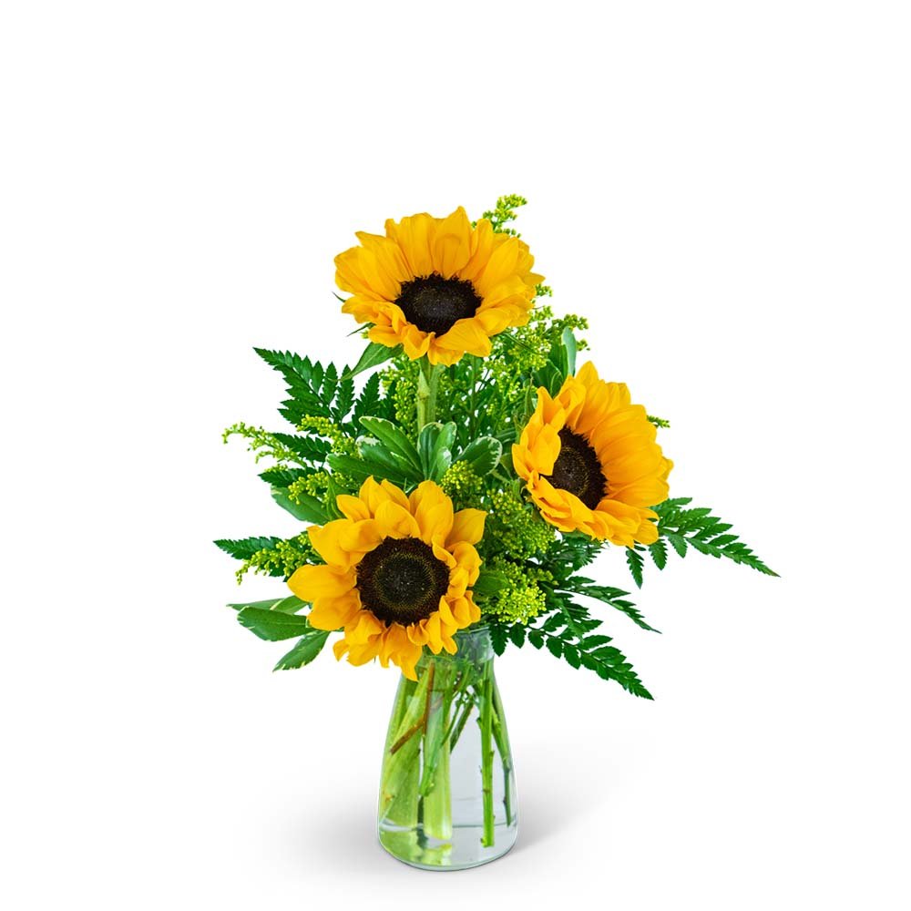 Three Suns of Joy - Anaheim Hills Florist