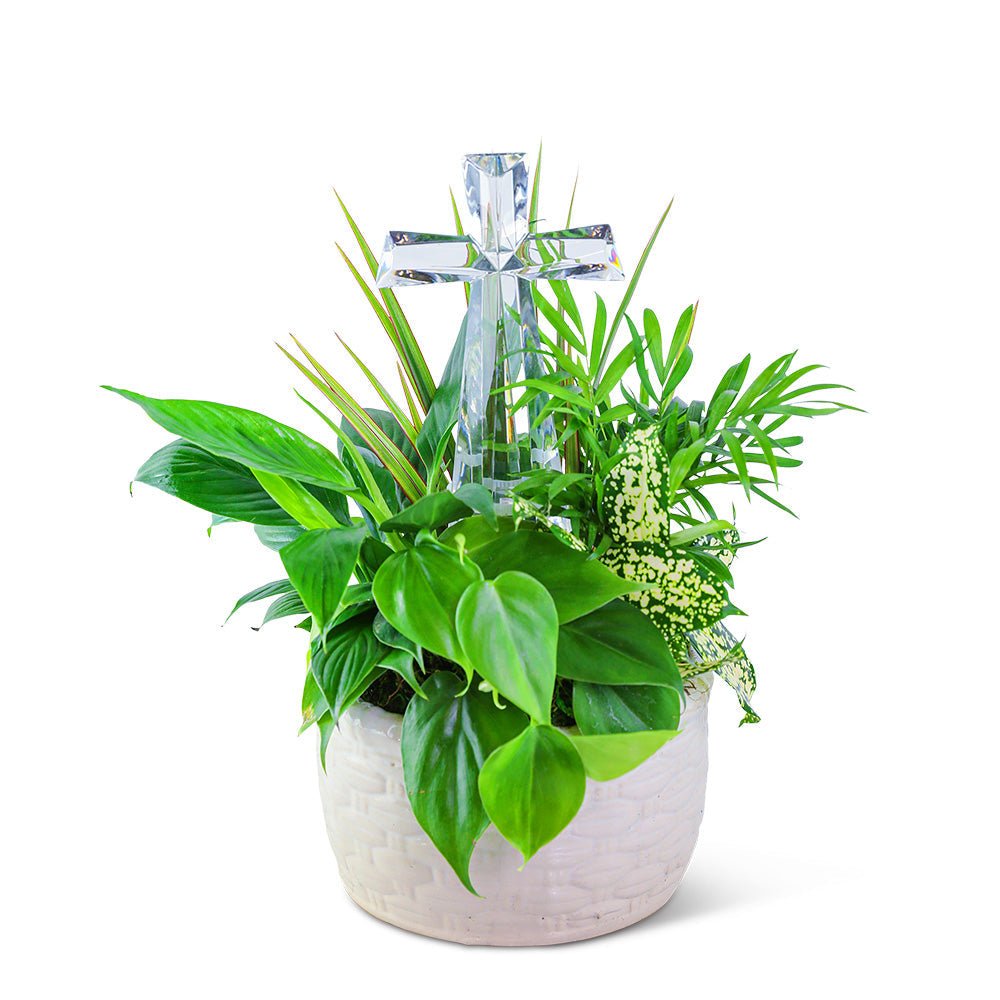 Dish Garden with Crystal Cross Keepsake - Anaheim Hills Florist