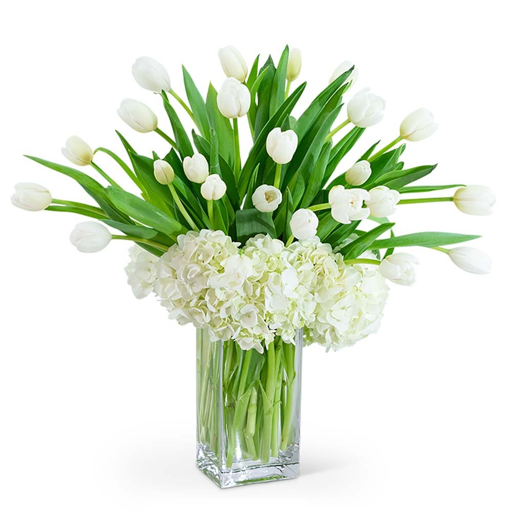 White Elegance - Anaheim Hills Florist