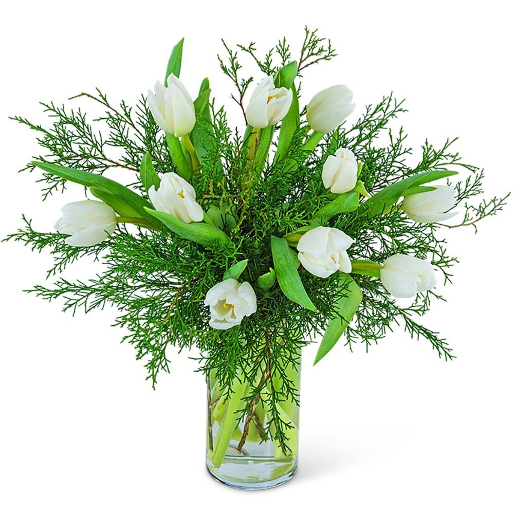 Winter White Tulips - Anaheim Hills Florist