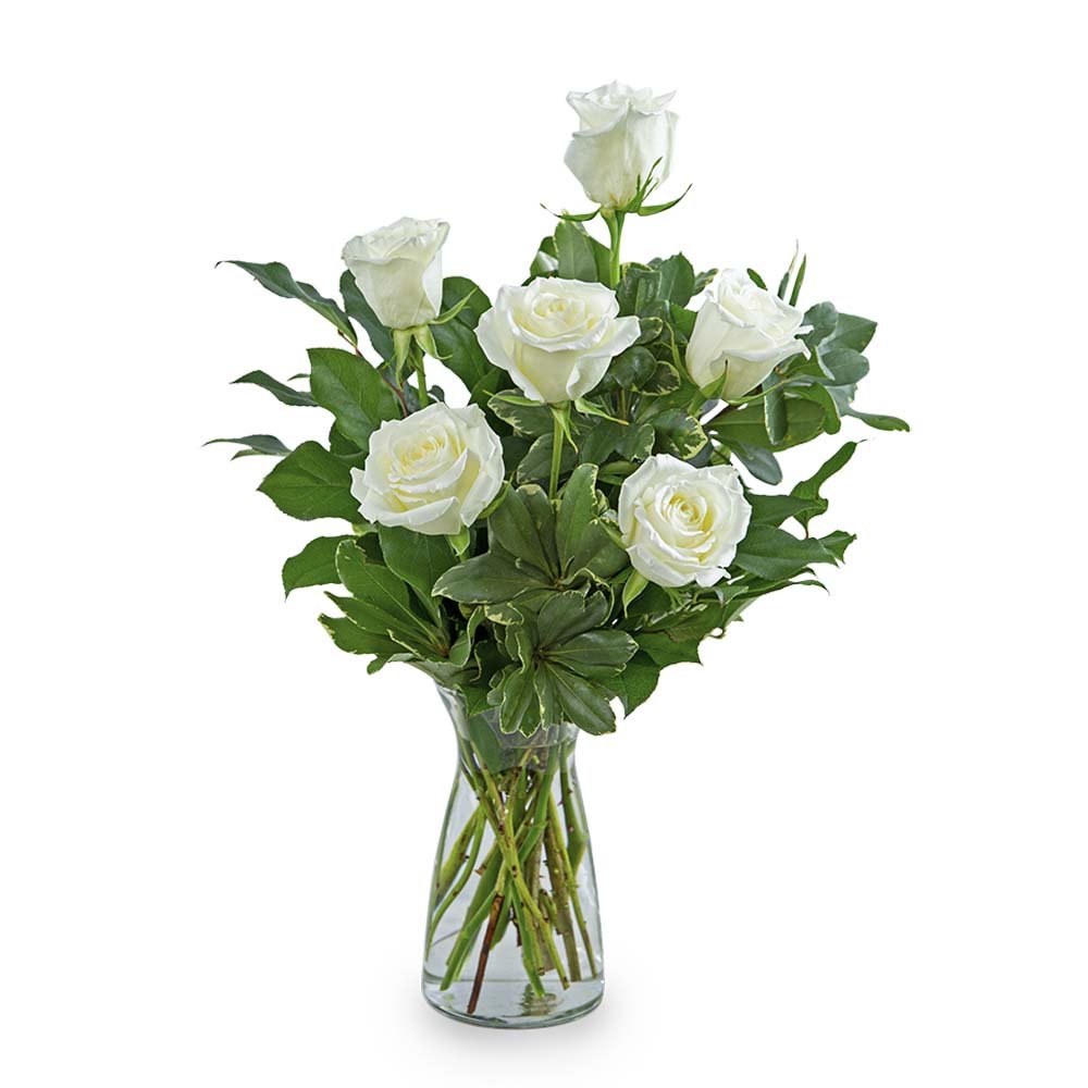 White Roses (6) - Anaheim Hills Florist