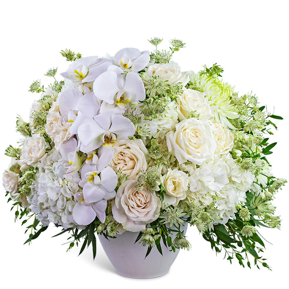 Orchid Couture - Anaheim Hills Florist
